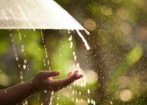 Дощі та місцями грози: погода на вихідні