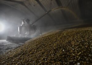 Росія втрачає позиції найбільшого агроекспортера – розвідка