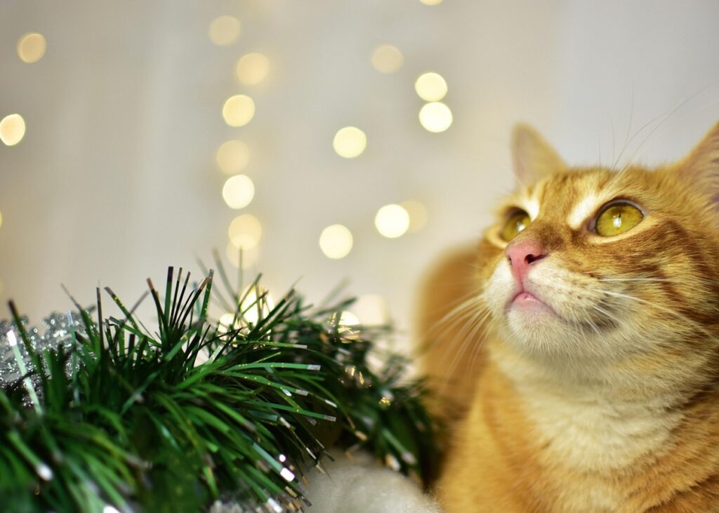 Гороскоп для всіх знаків зодіаку на 28 листопада 2025