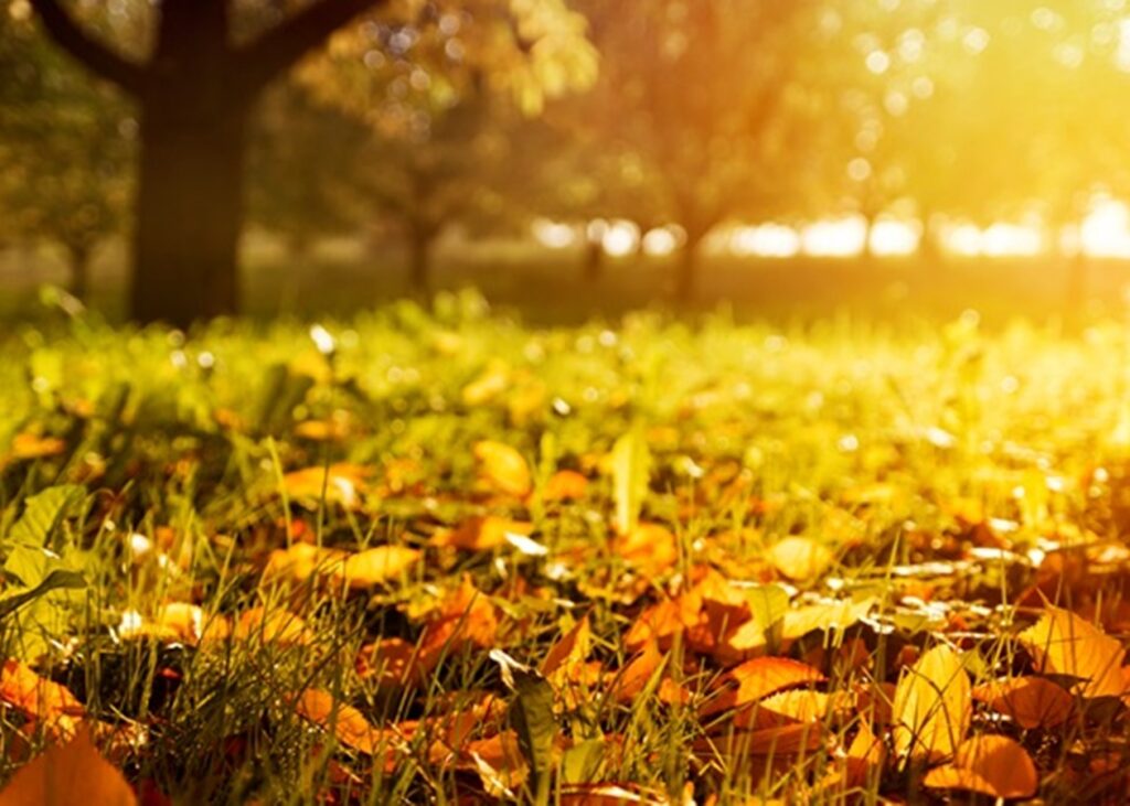 Минулий рік був третім найтеплішим роком за час спостережень – кліматологи