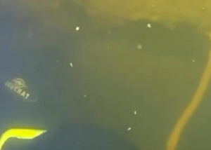 Водолази ДСНС провели підводну операцію при -15°C