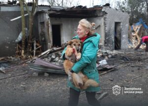 Росіяни вдарили по собачому притулку у Запоріжжі
