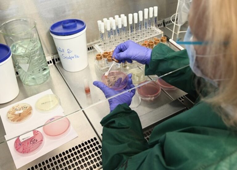 Вчені створили бактерії, здатні "з'їдати" ракові пухлини