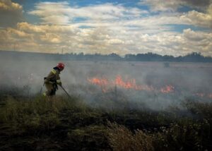На Миколаївщині через удар Росії горіли 10 га поля