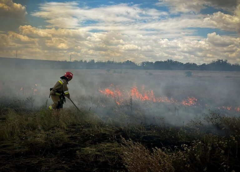 На Миколаївщині через удар Росії горіли 10 га поля