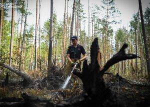 У Чорнобильській зоні загасили масштабну пожежу