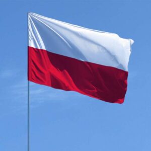 Українців попередили про небезпечні схеми із зарплатами в Польщі: На що скаржаться іноземні працівники