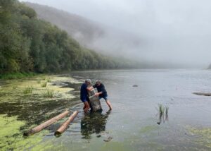 Обміління Дністра оголило незвичайну знахідку