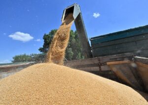 Викрадене в Україні зерно: Латвія посилила контроль